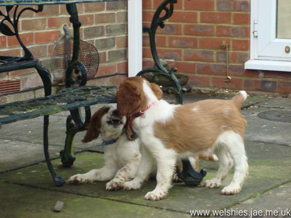 2009-04-17 38L.JPG